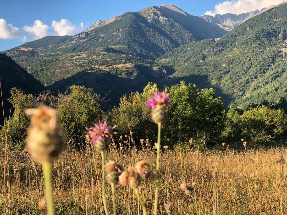 Pirineosnature Apartments ซาน ฮวน เด แปลน ภายนอก รูปภาพ